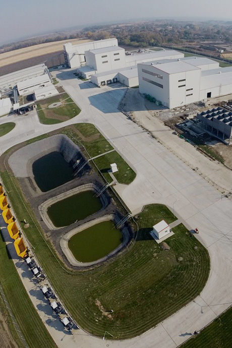 Завод з виробництва насіння