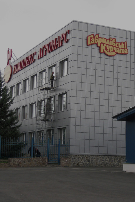 Гаврилівські Курчата